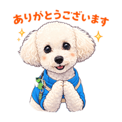 cherie_20260310112649