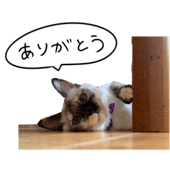 okura.kuwasero_20260310104216