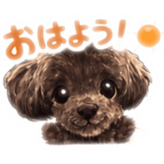 Miya_20260313165807