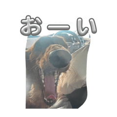 aachyann_20260314000820