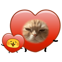 potato.oishii_20260313171757