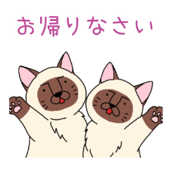 PAKAMOGOLY_20260314023917