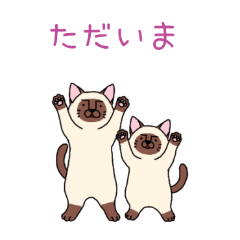 PAKAMOGOLY_20260314024003