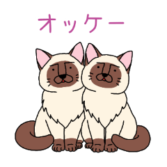 PAKAMOGOLY_20260314024134