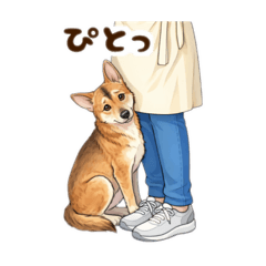 Kachan_20260314021918