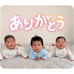 KATORARAO_20260313211211