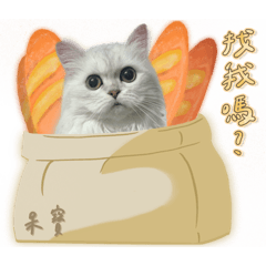 可愛寶寶們日常