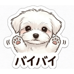 WATA_20260314083613