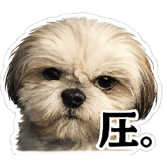 maron & baron_20260314043849