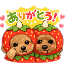 kakao_20260313214748