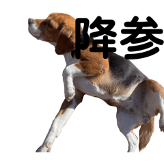 Haruto_20260313182529