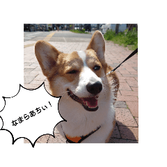 TAKAHITO_20260313182207