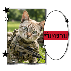 kifzaza28_20260313165225