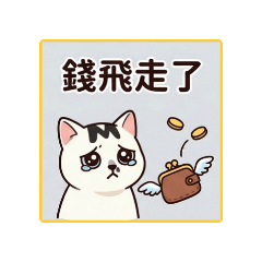 我的貓like cat