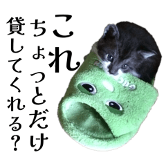 Maachan_20260313183744