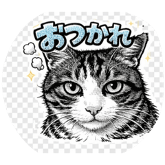 meechan_20260313203358