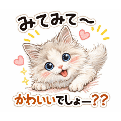 Cat lovers_20260314093741