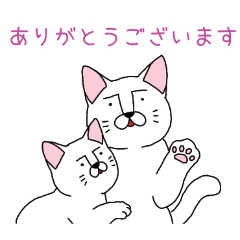 PAKAMOGOLY_20260314093700