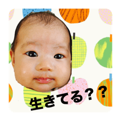 Kohamama_20260314095113