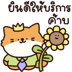 Appy&Ren online sellers