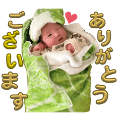 obebi_20260313223358