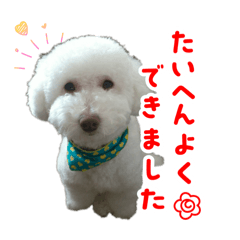 mammy_20260313224009