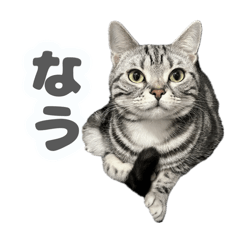 harun_20260313224417