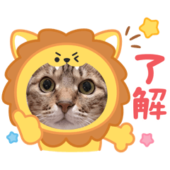 好奇寶QQ &喵喵粉圓