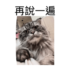 麥口的日常生活