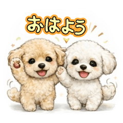 Choki_20260313192844