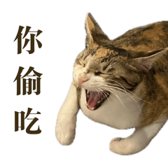 有十隻貓貓的咖啡廳-情勒篇