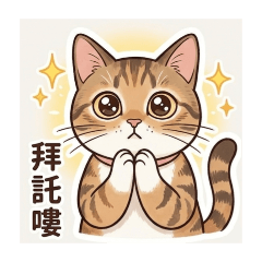 貓咪日常用語##2