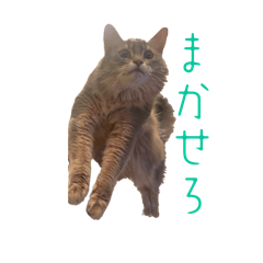 Hacha_20260313205715