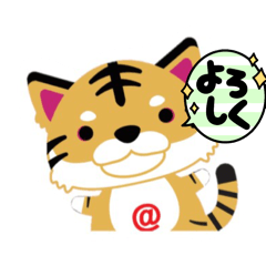 ta9ya_20260313222841