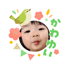 DONGURI DONGURI2