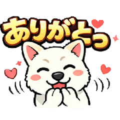 yu-ki_20260313232801