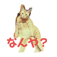 K_20260314131855