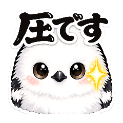 mikipokkle_20260314132406