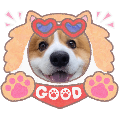 Cockie dog_20260314103746