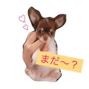 cocos stamp1