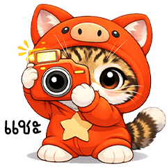 A cute cat in a red outfit