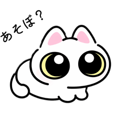 monaca_20260314155600