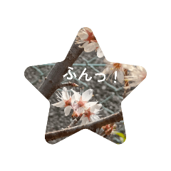 akarin_20260314173014