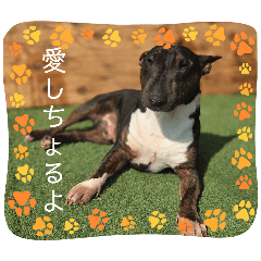 yamaharu_20260314170308