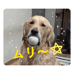 five_20260315093440
