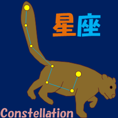 Constellation MV