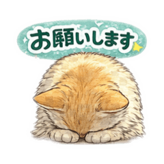 takurou_20260314234614