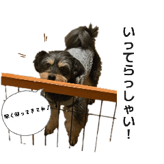 oniiiii_chan_20260314181258