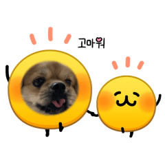 mikann_20260314195438