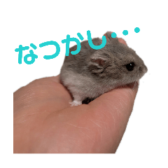 minto_20260314195808